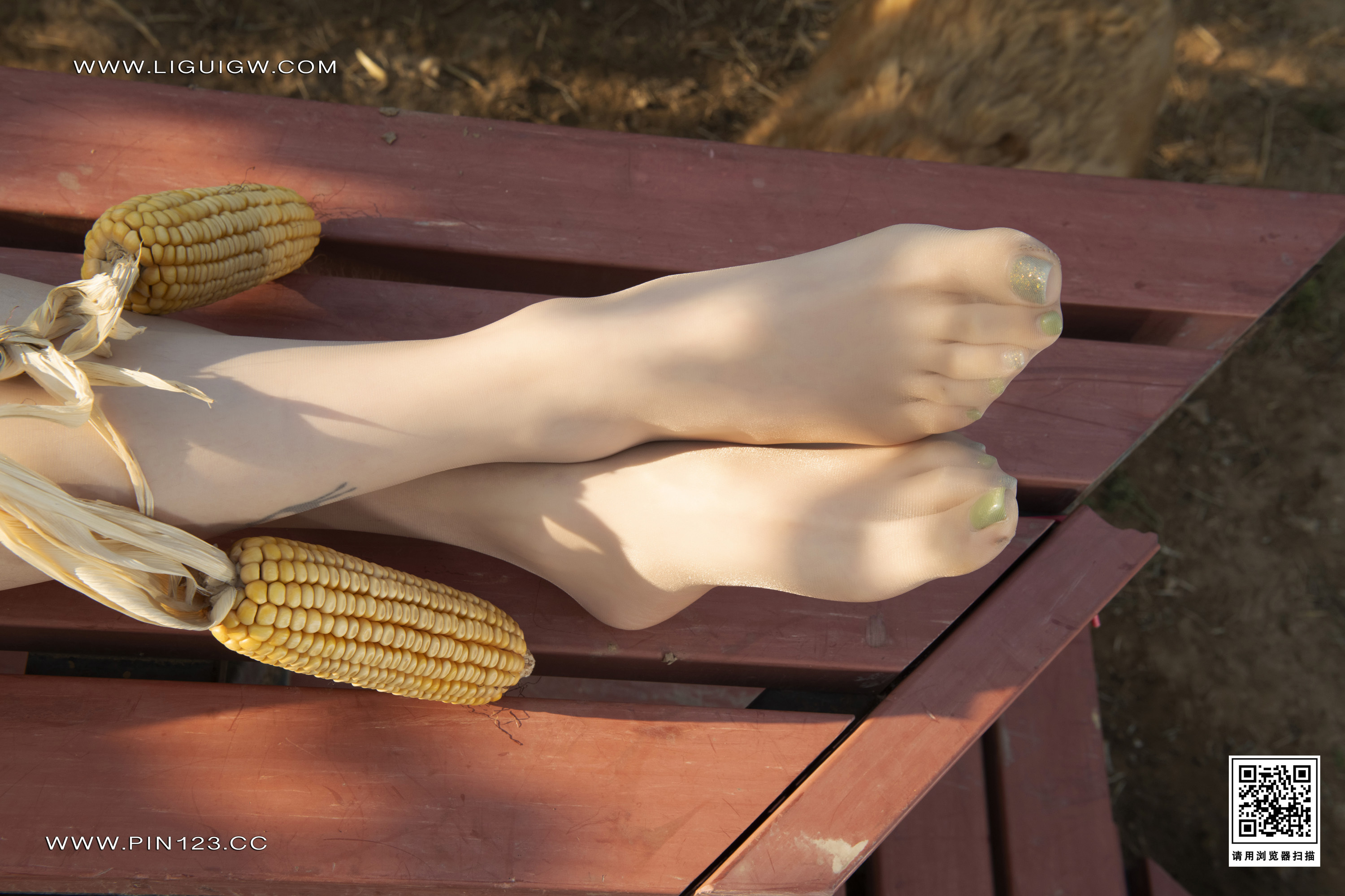 Ligui丽柜  2024.09.23 田园丽影 甜甜